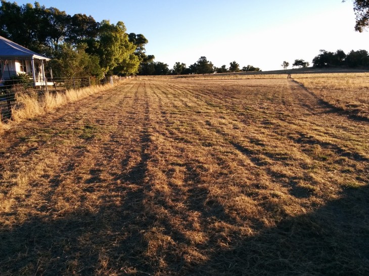 rimg_20170103_194613